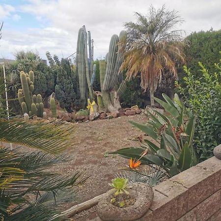 Los Cactus Санта-Крус-де-Тенерифе Экстерьер фото