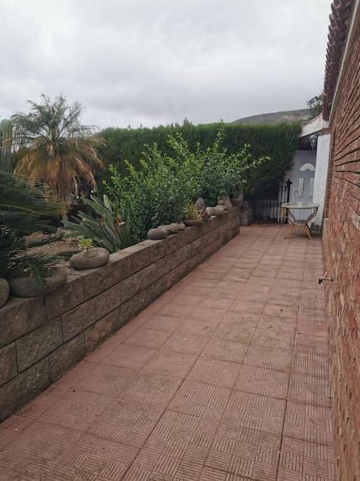 Los Cactus Санта-Крус-де-Тенерифе Экстерьер фото