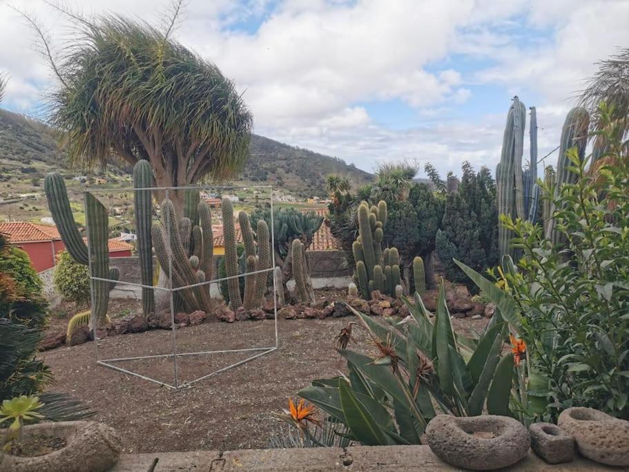 Los Cactus Санта-Крус-де-Тенерифе Экстерьер фото